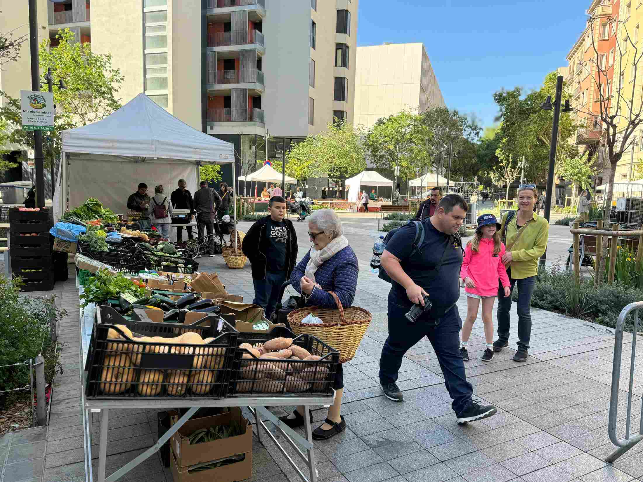 salvador-rueda-el-actual-modelo-de-movilidad-urbana-es-el-causante-de-las-mayores-disfunciones-de-la-ciudad-5